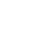 servicioblanco-icon